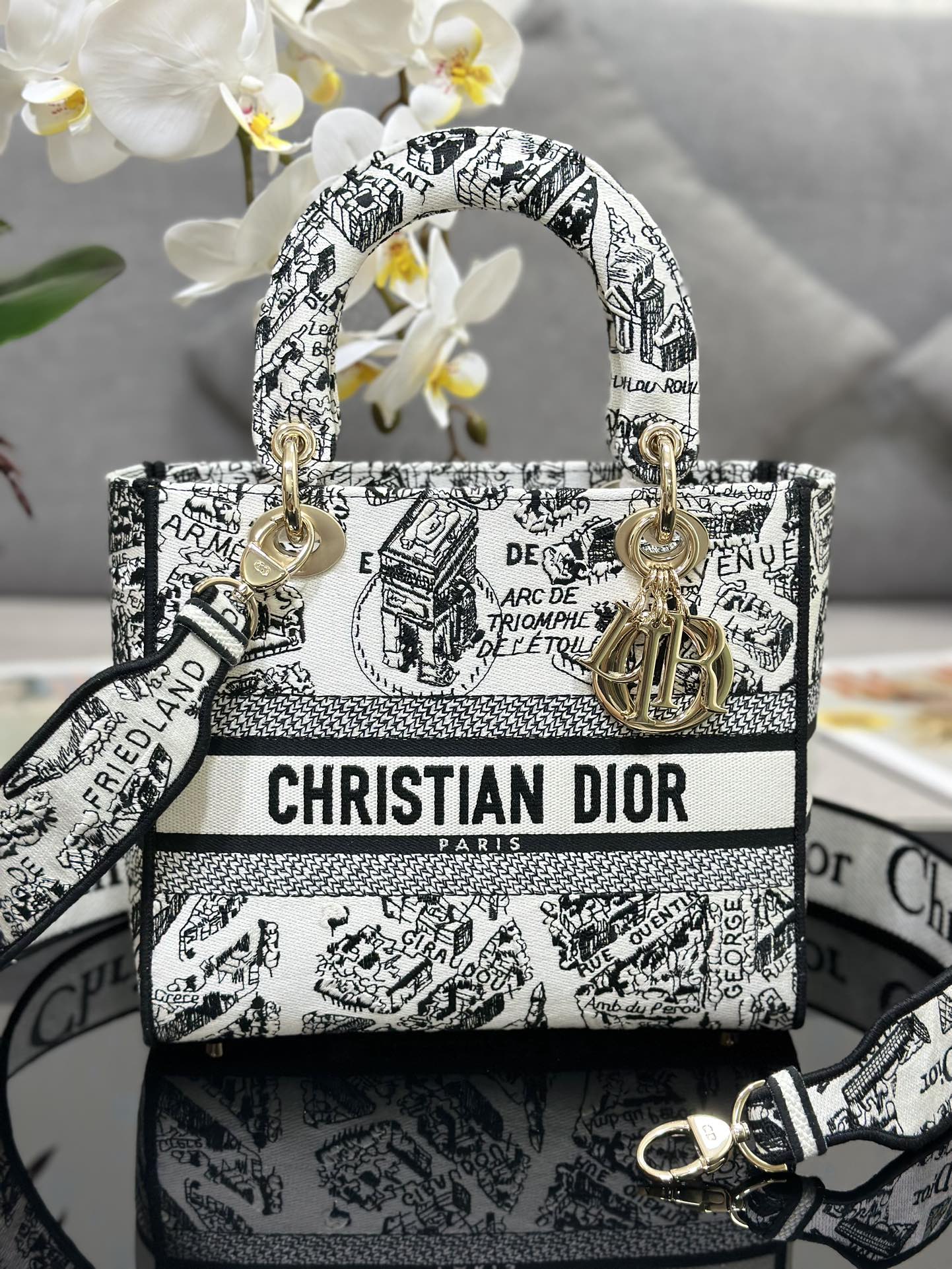 TOP Christian Dior Five Grid Embroidered Paris Map Handbag 24x20x11CM - White&GHW