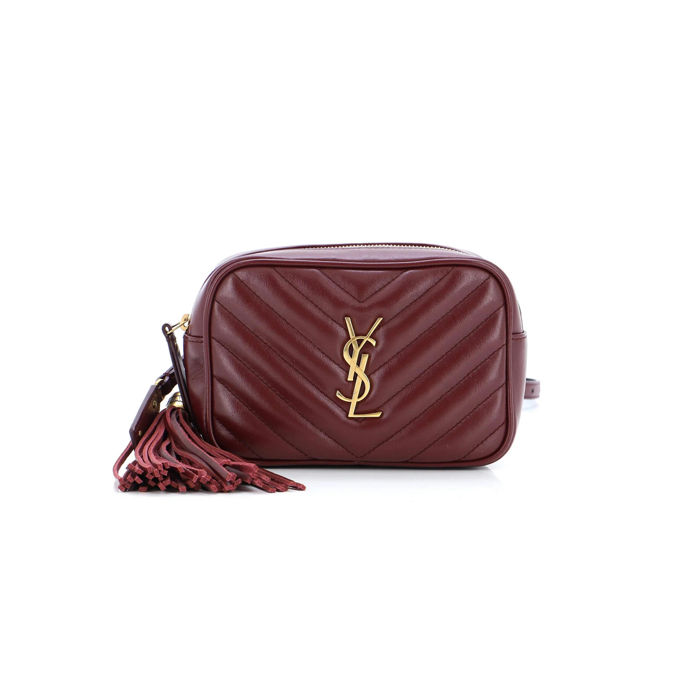 Bag/Saint Laurent/Exotic