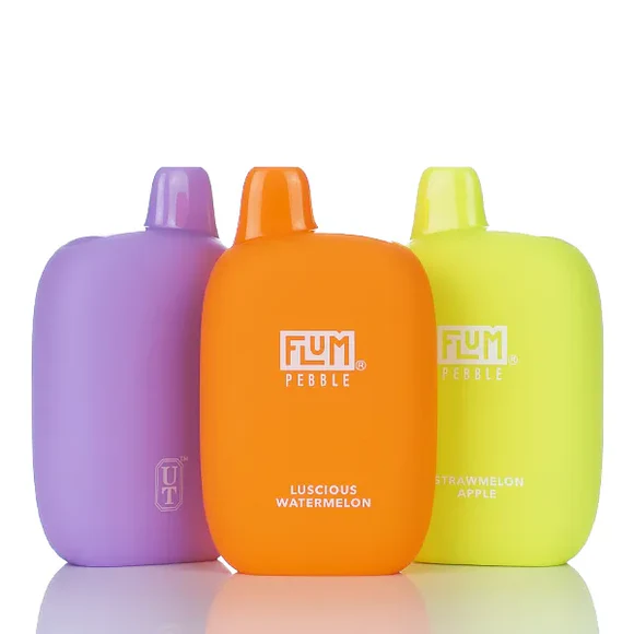 Flum Pebble Disposable Vape (5%, 6000 Puffs)