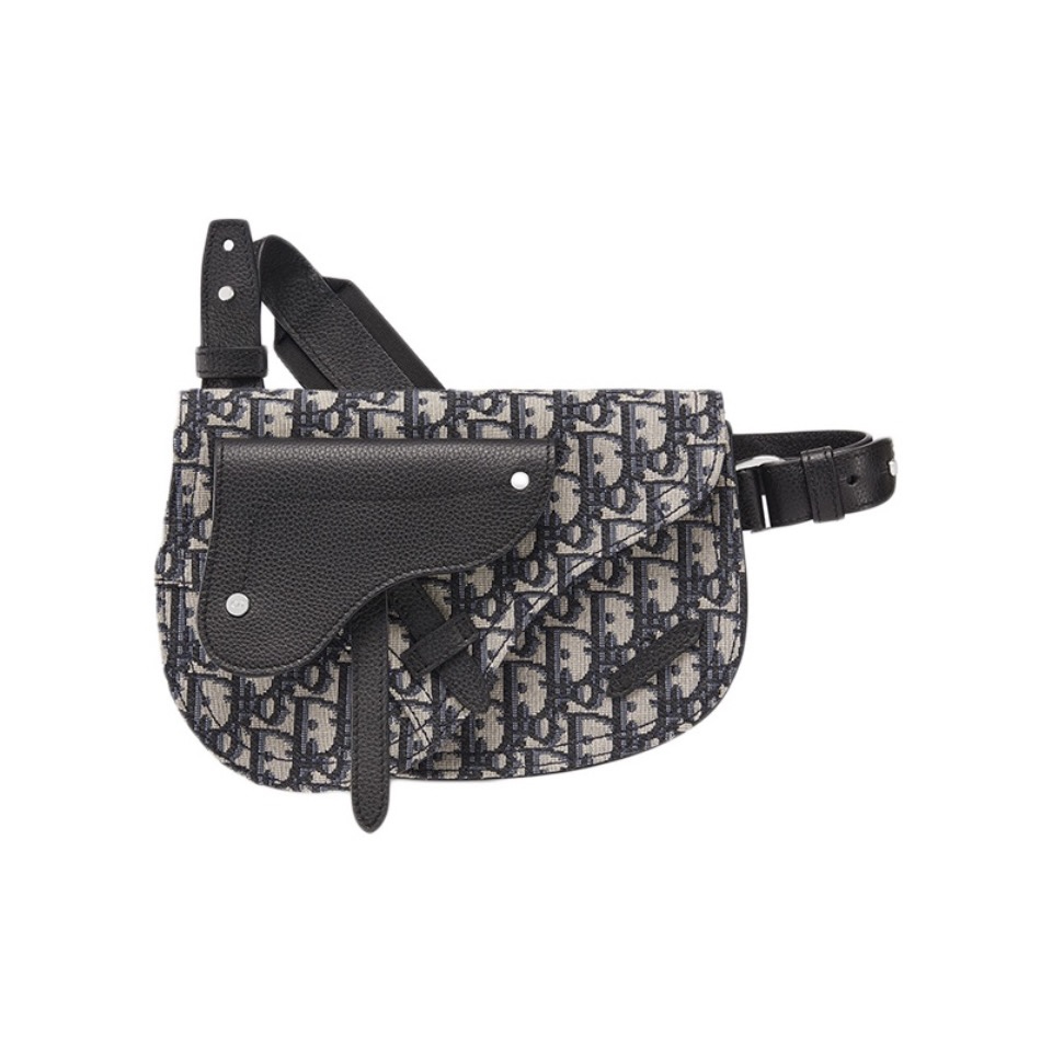 Dior Saddle  Embroidery Crossbody Bag（10A Mirror Version）