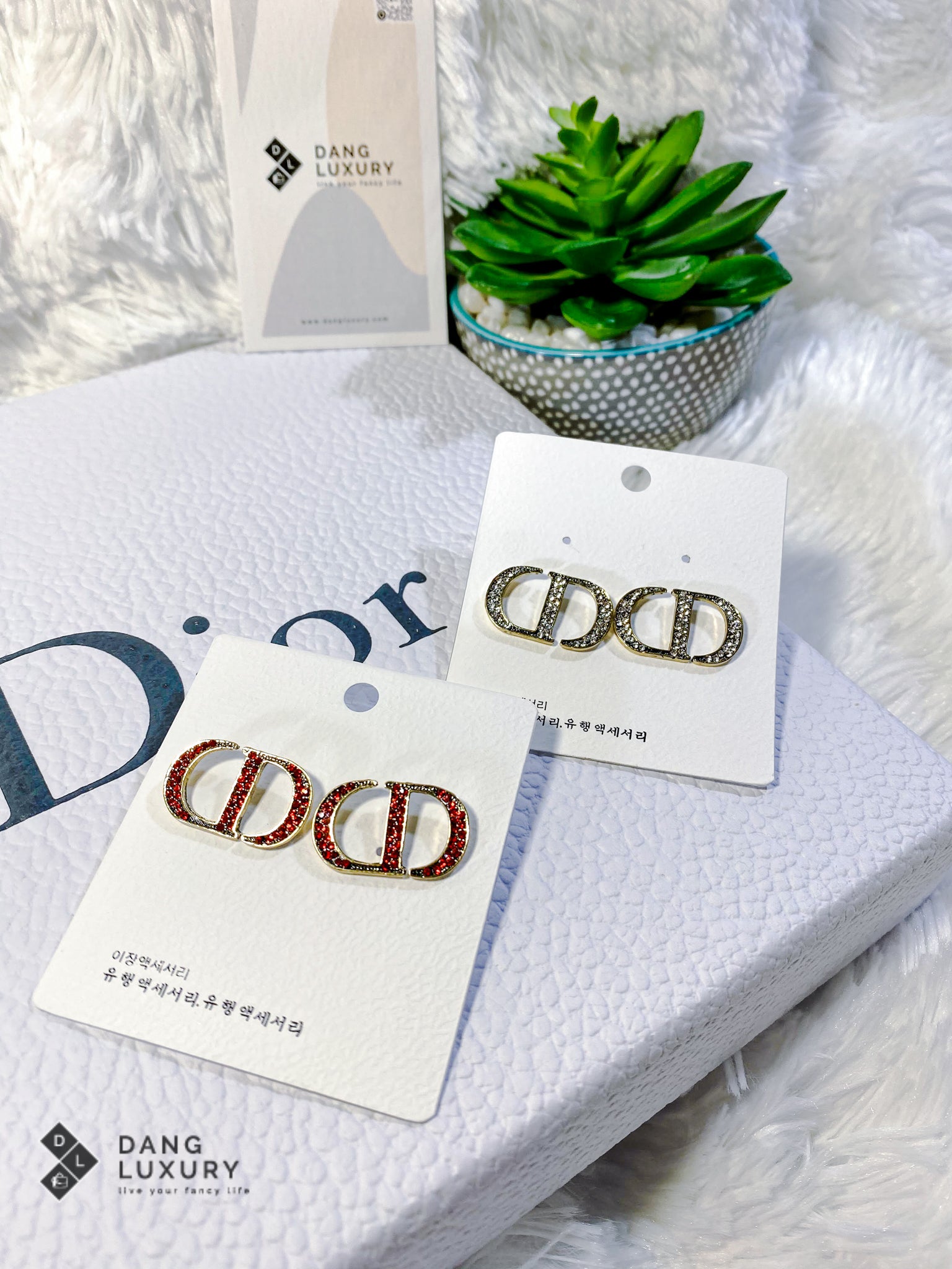 TOP Christian Dior Logo Earrings