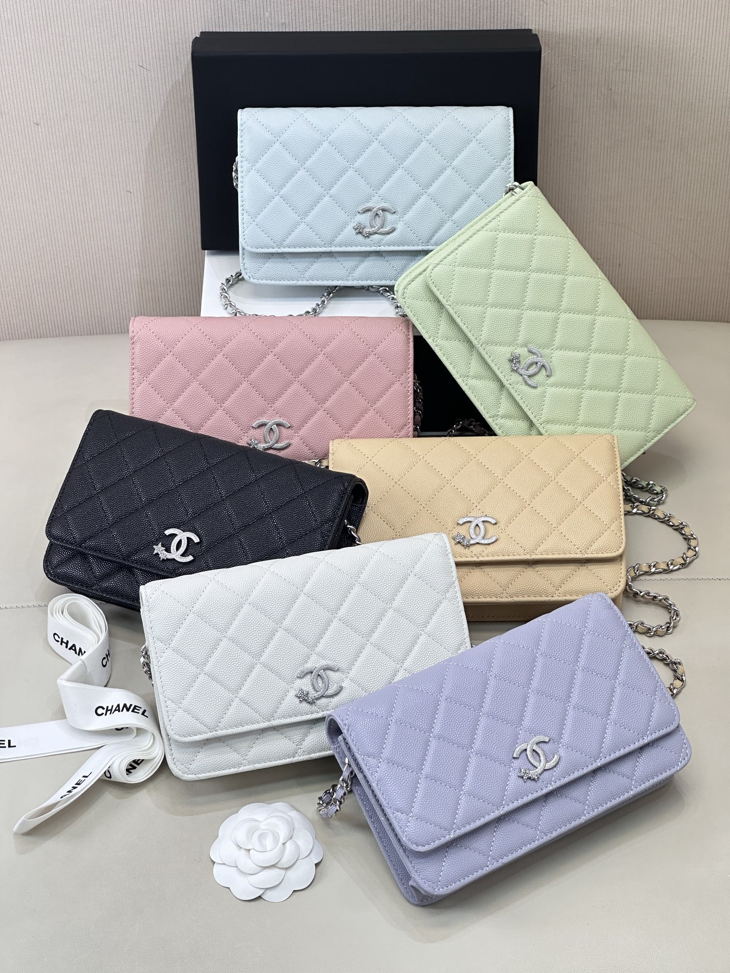 TOP CHANEL WOC Bag with Comet 12/19/4cm - 6 Colors