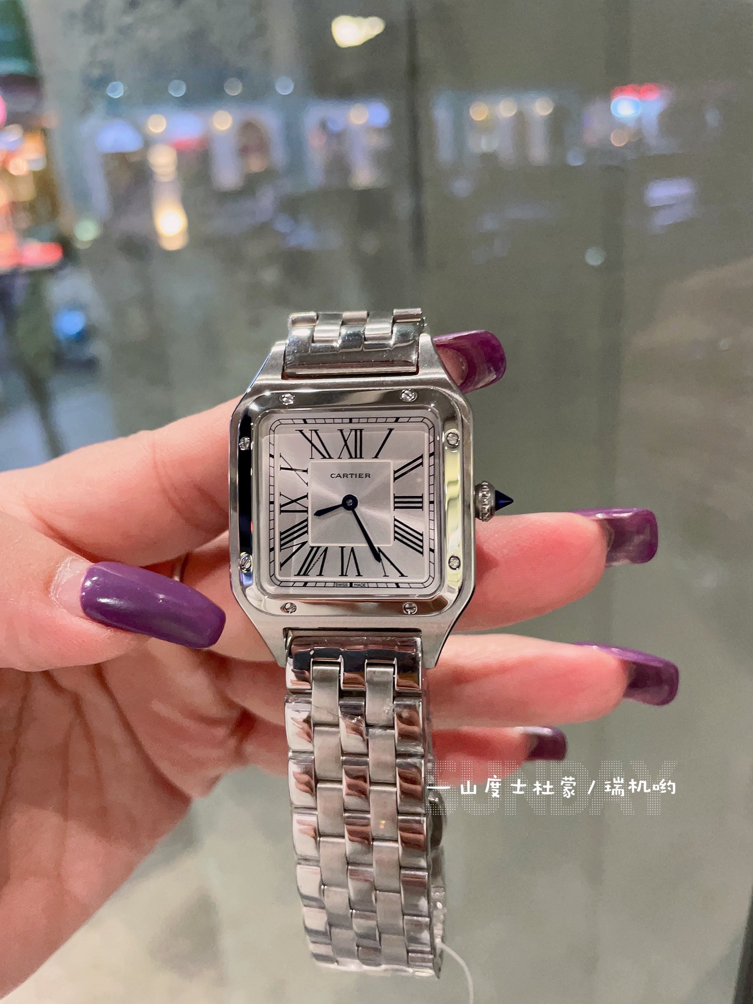 TOP Cartier Santos Dumont Watches