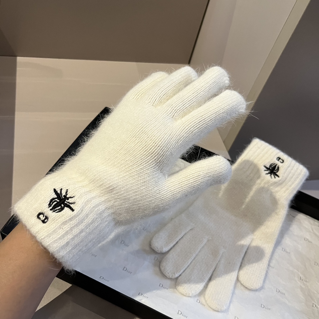 Top Christian Dior Wool Gloves - 4 Colors