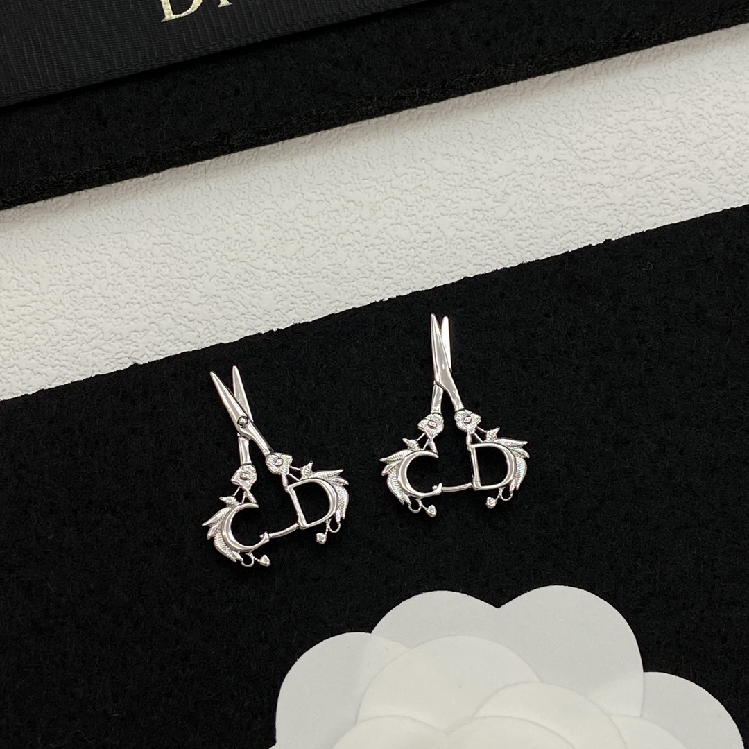 TOP Christian Dior Earrings - 2 Colors