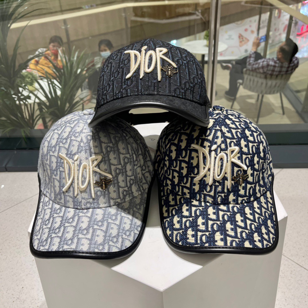 TOP Christian Dior Baseball Hat - 3 Colour