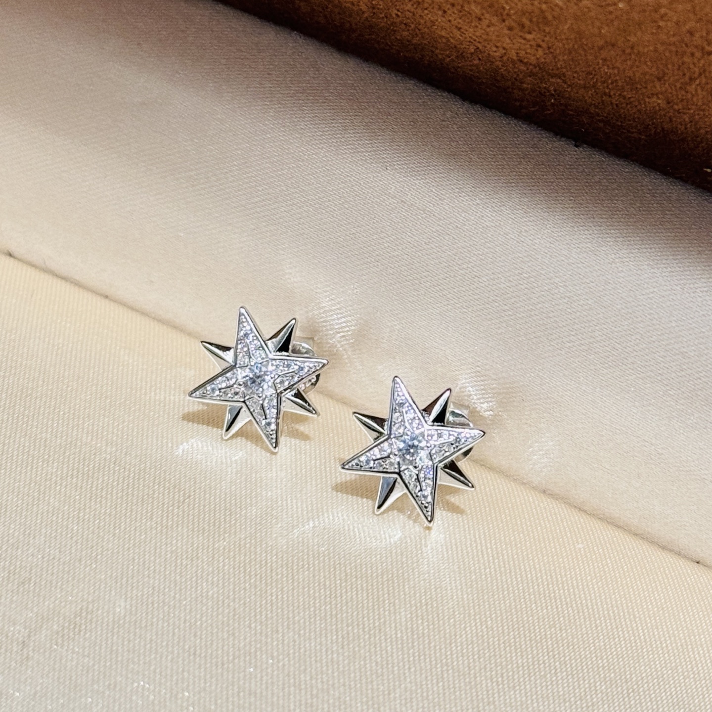 TOP Christian Dior Earrings -Sliver