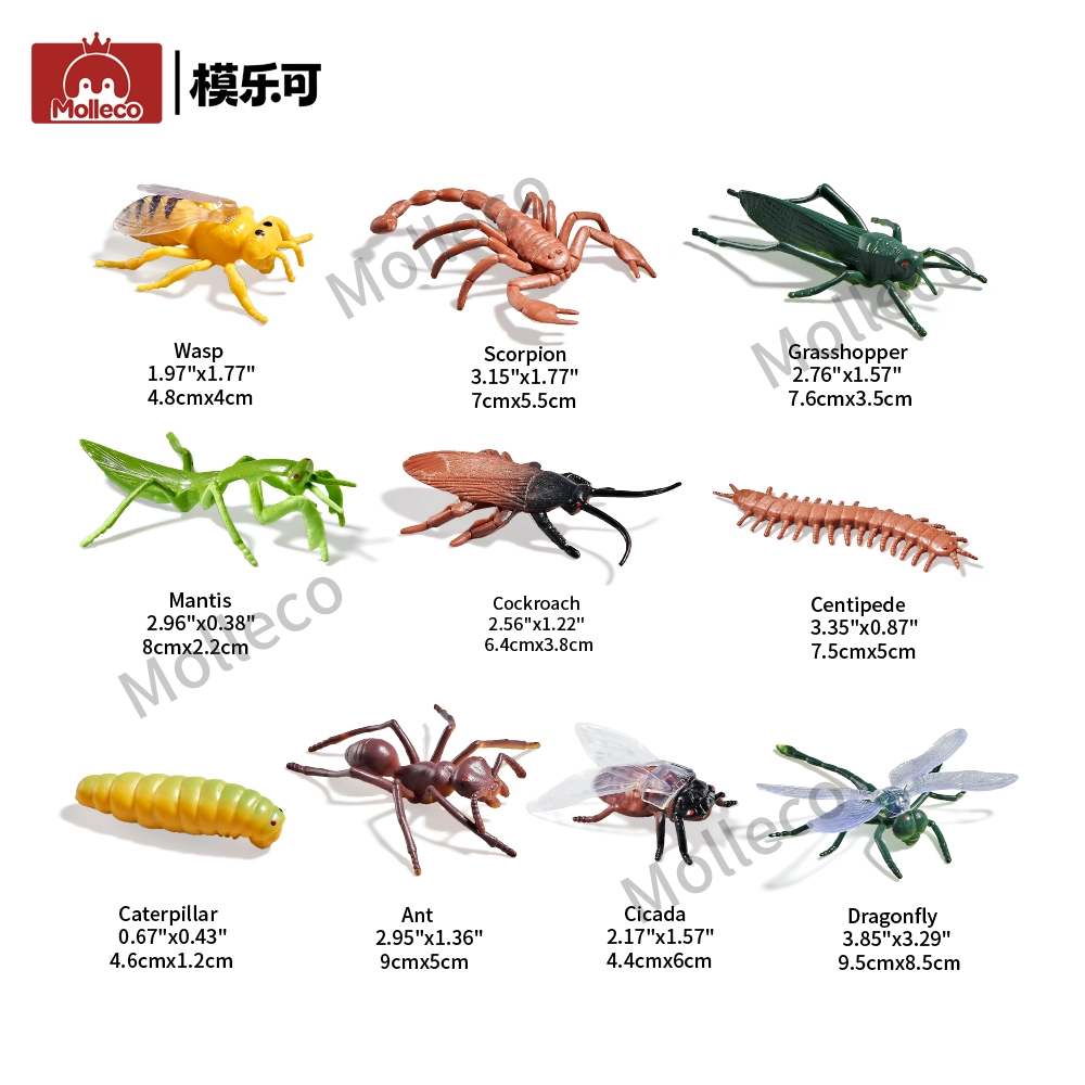 Molleco Animal Figure Toys for Kids and Children Dragonfly+Cockroach+Ant+Caterpillar+Mantis+Grasshopper+Centipede+Scorpion+Bee+Cicada CP022-1-2-3-4-5-6-7-8-9-10