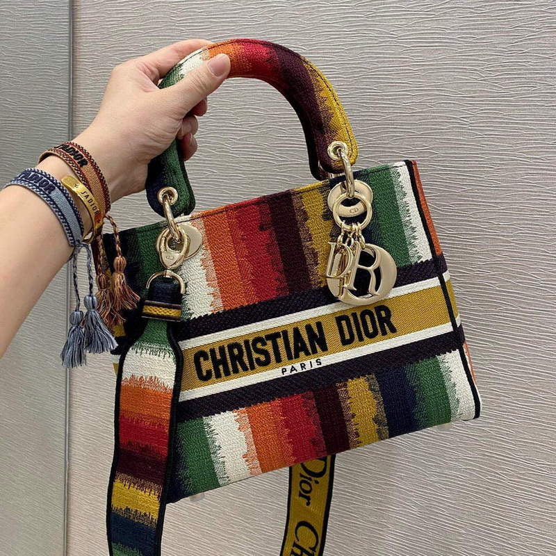 TOP Christian Dior Lady Christian Dior Bag Embroidery Multicolored Stripes