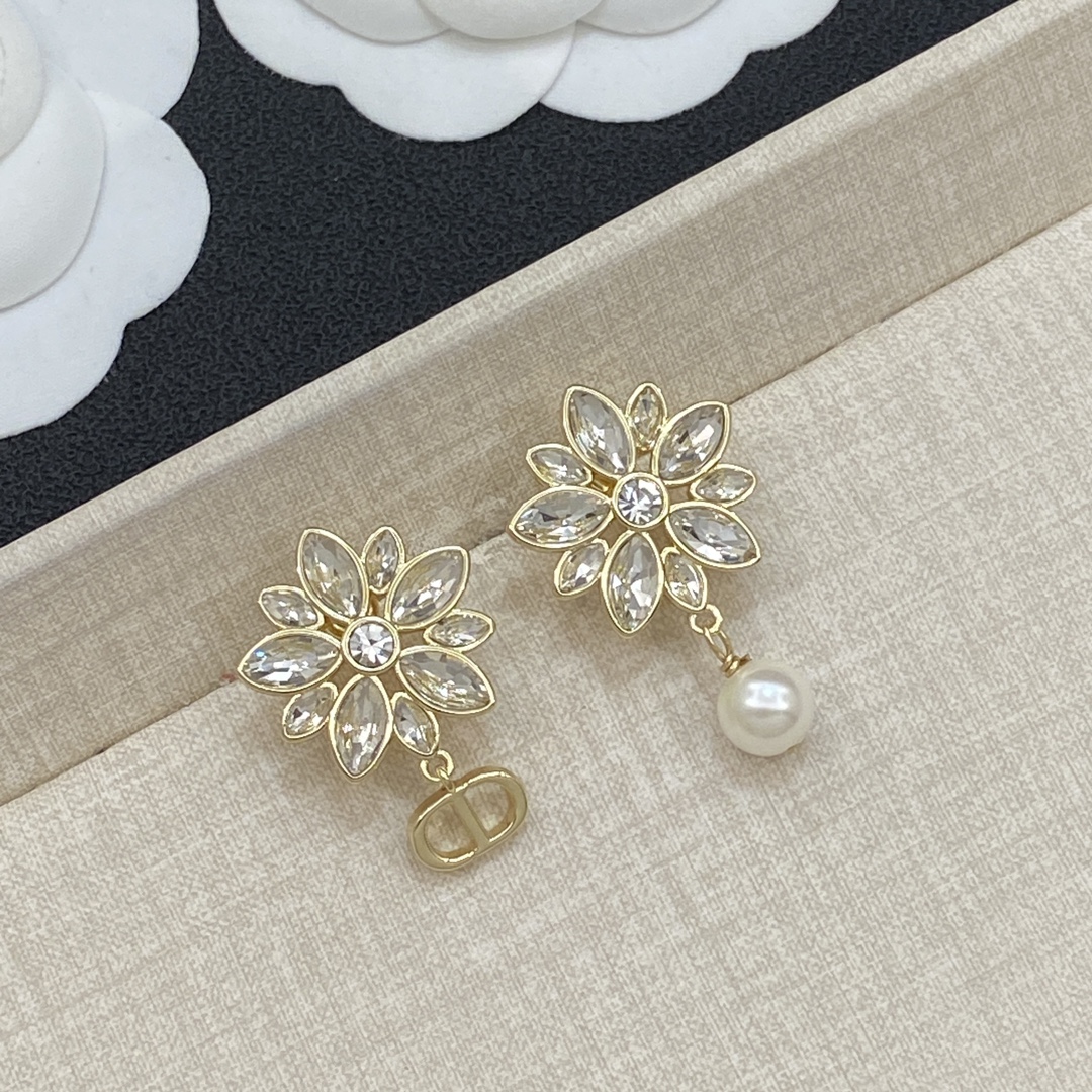 TOP Christian Dior Earrings - Gold