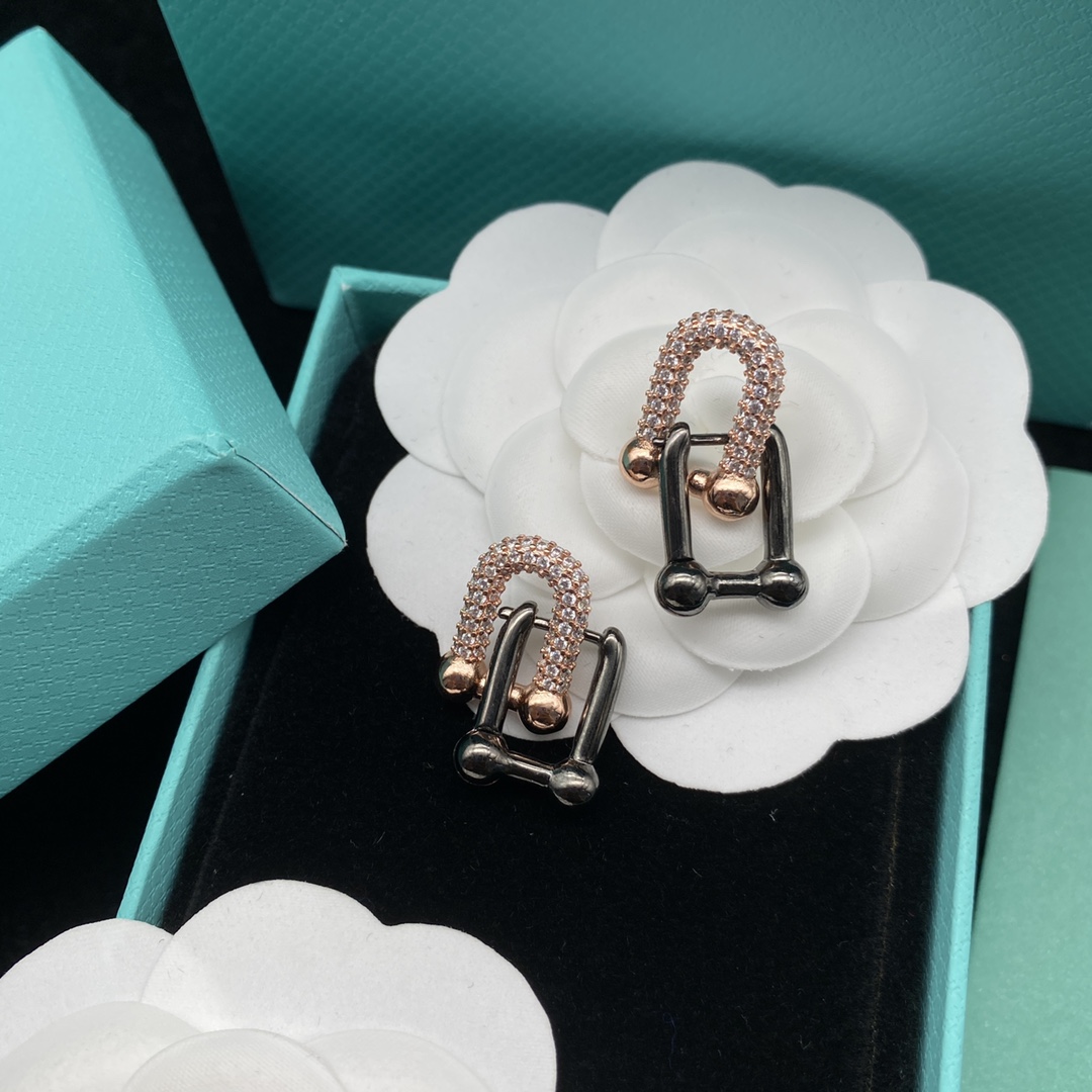 TOP Tiffany & Co. Lock  Earrings