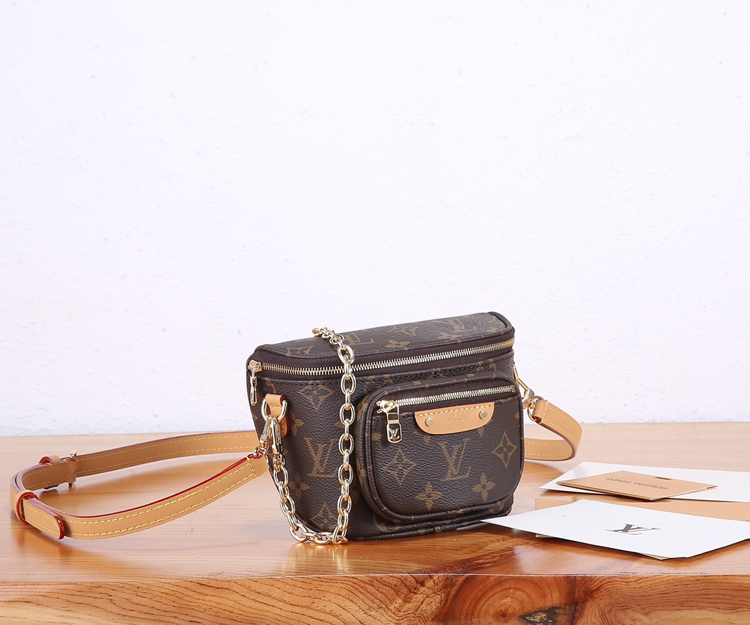 TOP Louis Vuitton LV Mini Bum Bag 17x12x9.5cm - Monogram
