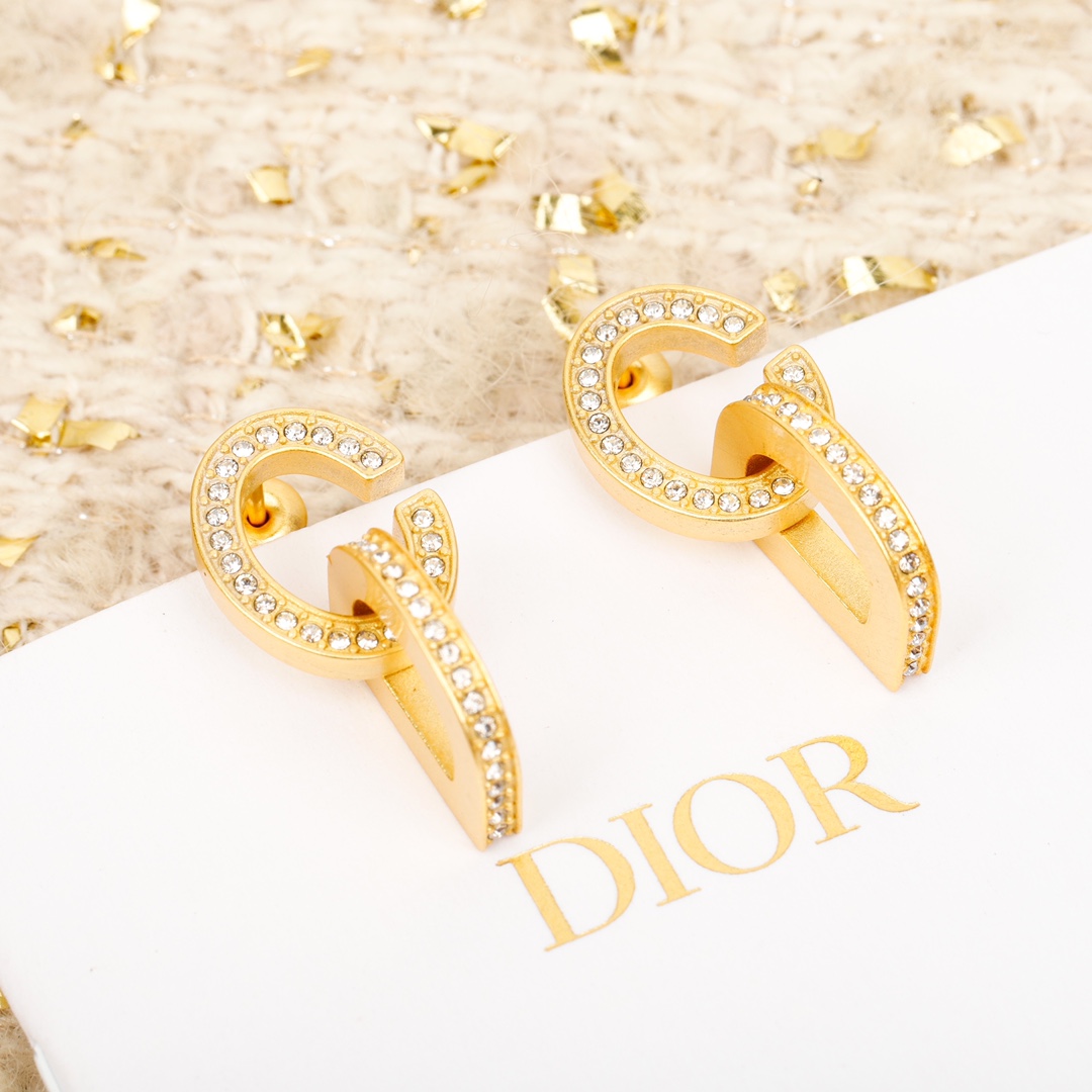TOP Christian Dior Letters Earrings