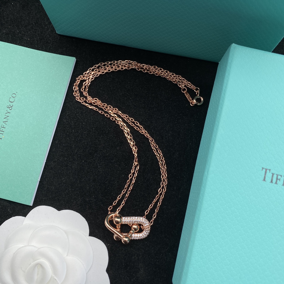 TOP Tiffany & Co. Lock Necklace - 2 Color