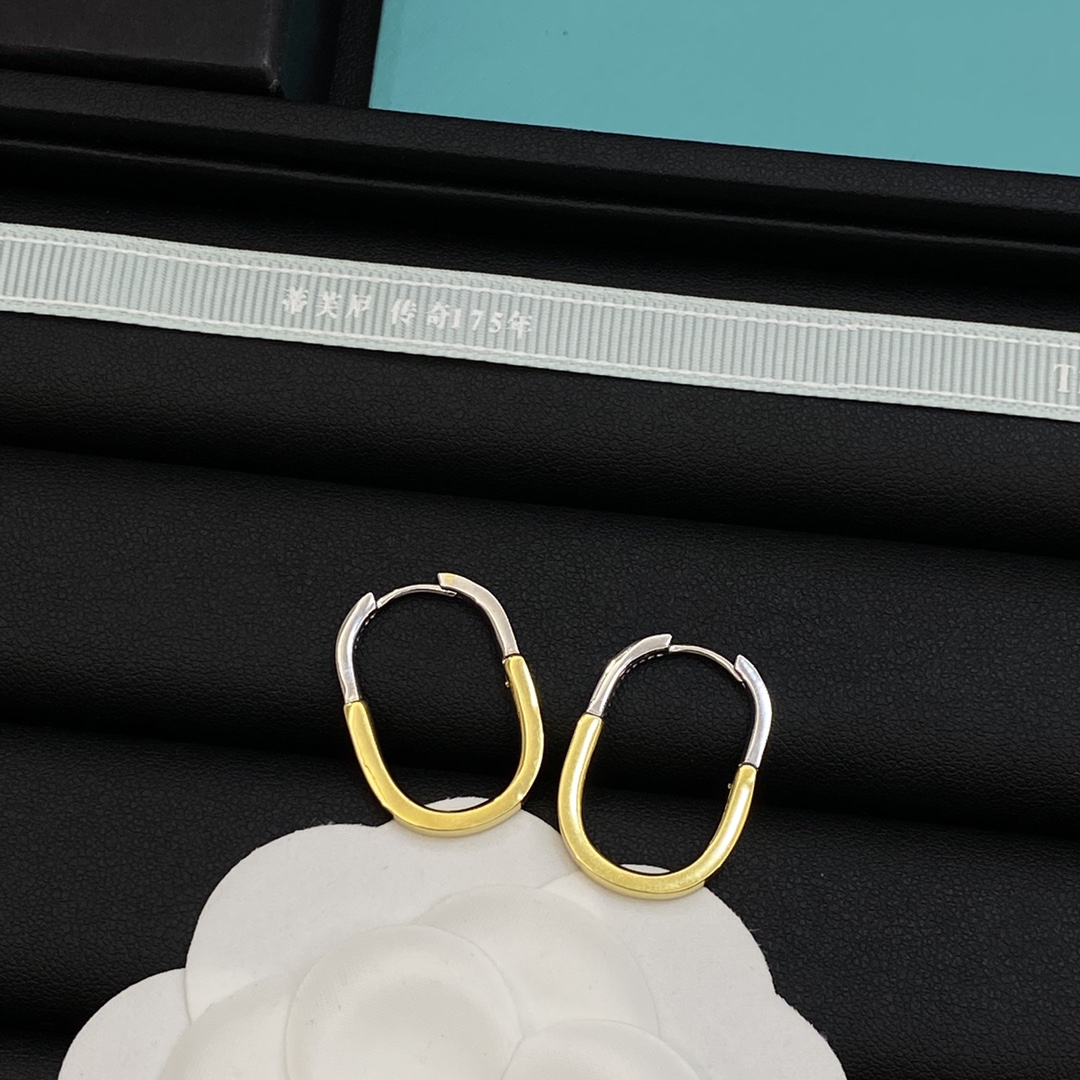 TOP Tiffany & Co. Earrings - 2 Color