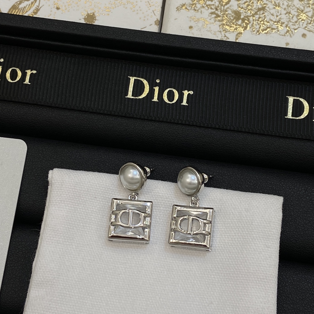 TOP Christian Dior Earrings-2 Colors