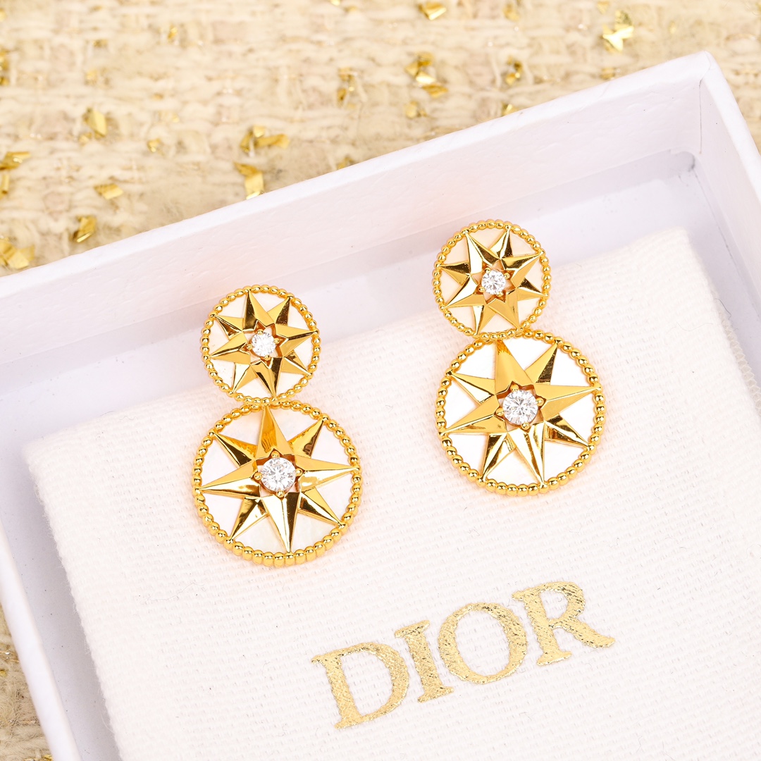 TOP Christian Dior Compass Earrings-4 Colors
