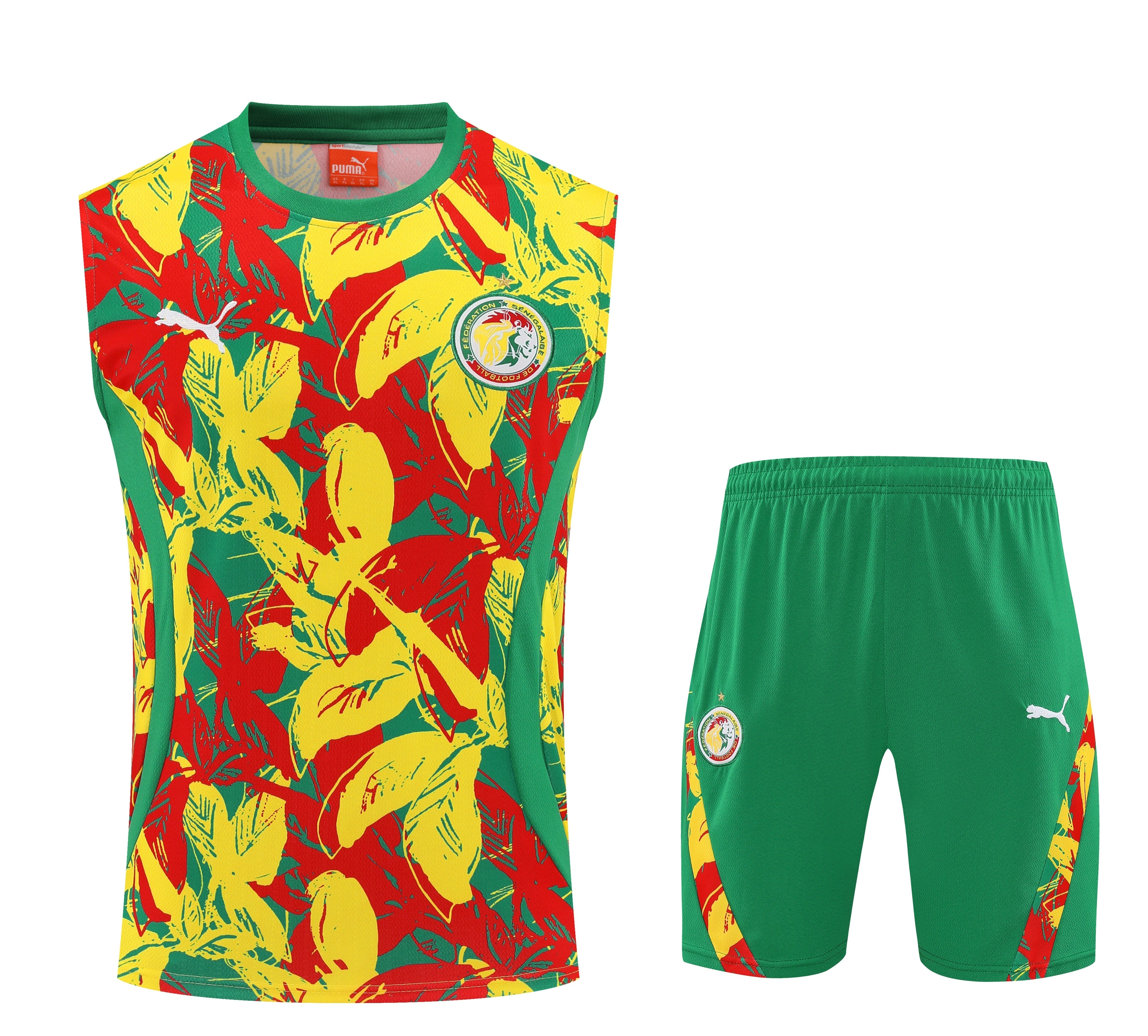 Senegal Pre-Match Training Vest Kits 25-26