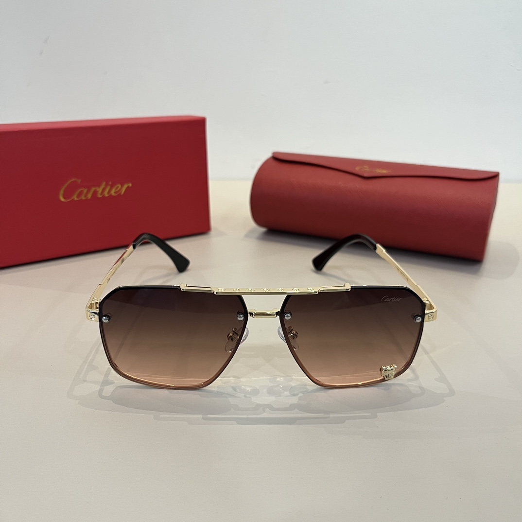 TOP Cartier Sunglasses - 3 Color