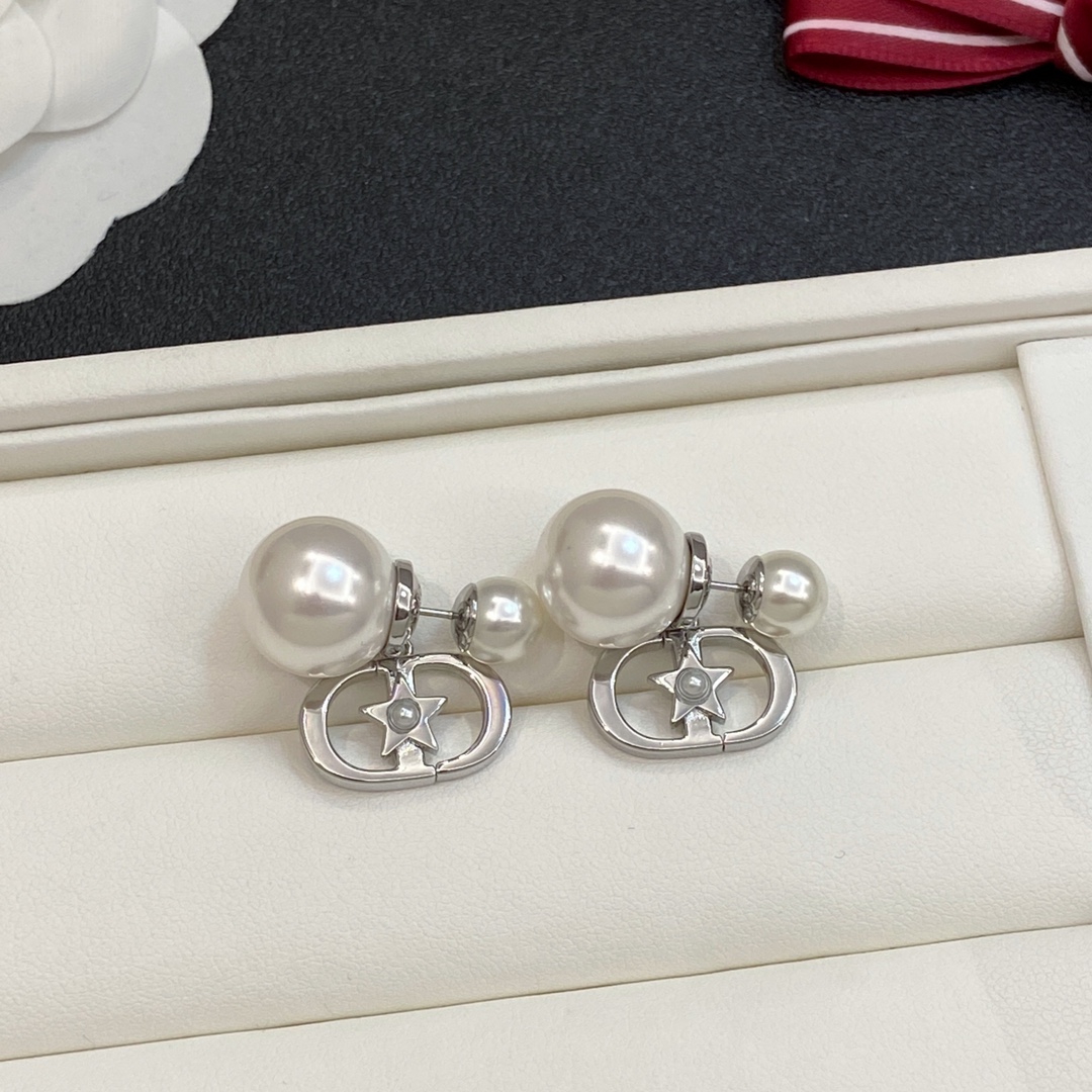 TOP Christian Dior Earrings - 2 Colors