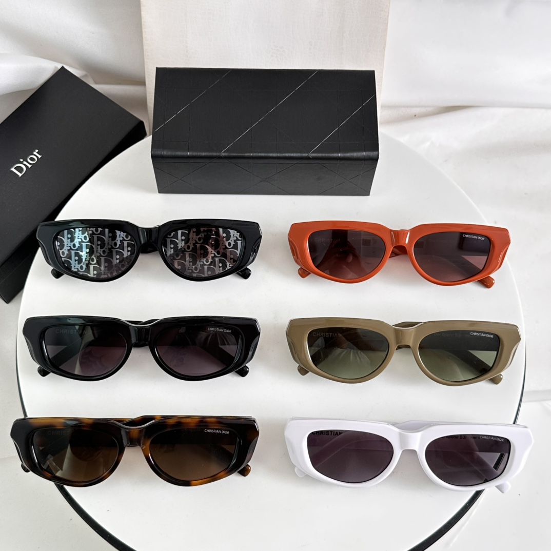 TOP Christian Dior Sunglasses - 6 Color