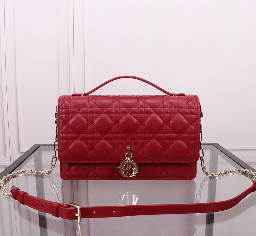 TOP Christian Dior Sheepskin Leather Handbag 24x14x7.5cm-2 Colors