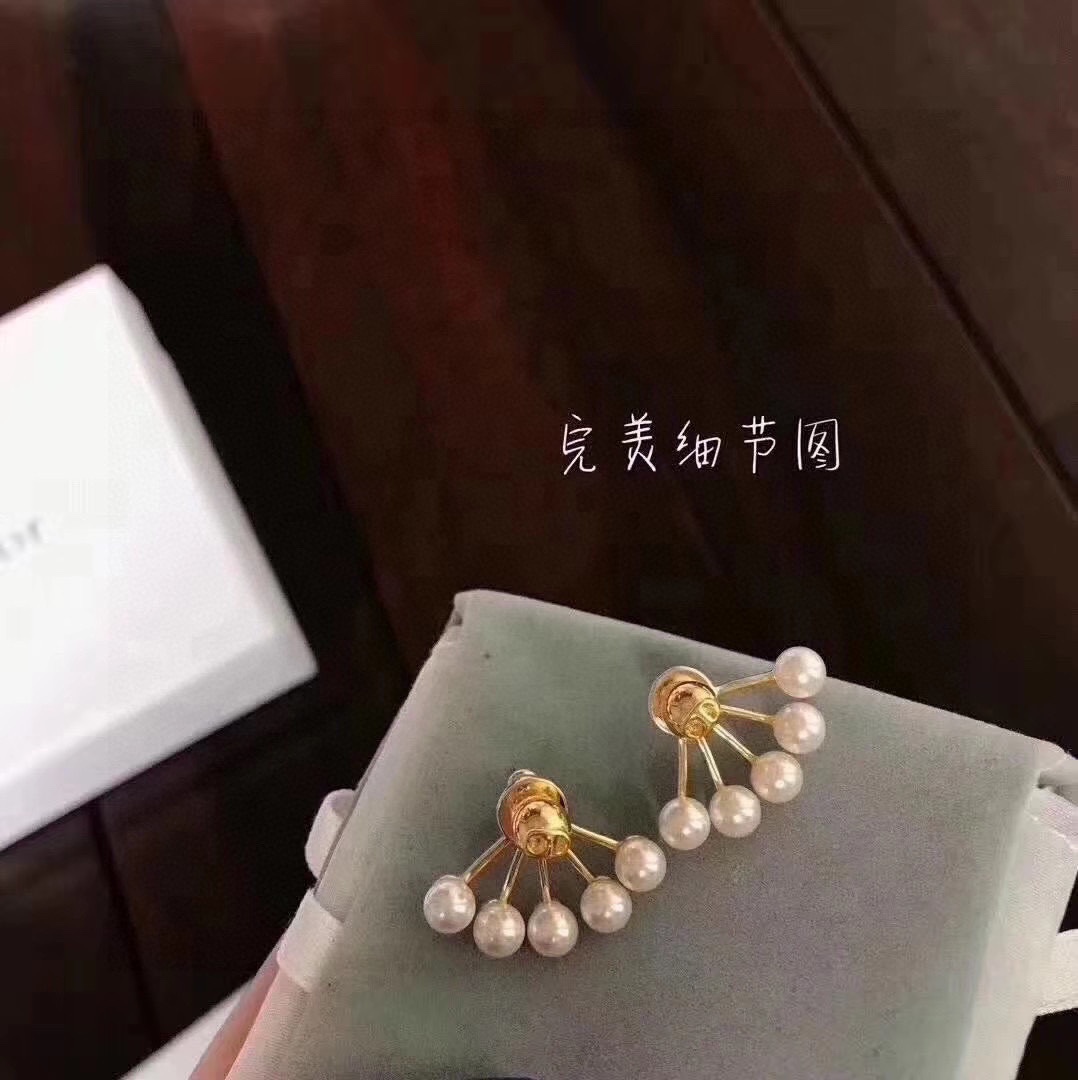 TOP Christian Dior Earring