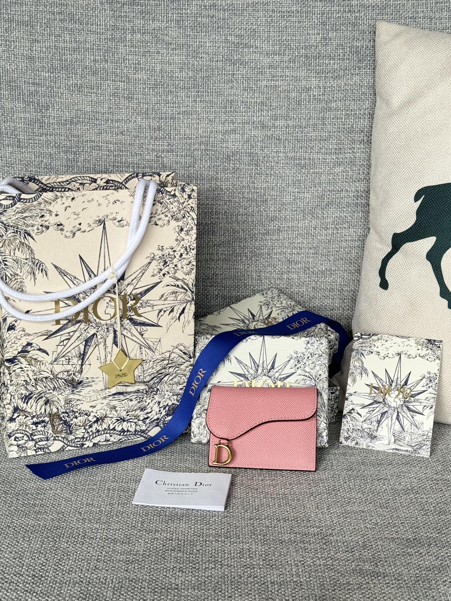 TOP Christian Dior Calfskin Saddle Lychee Patterned Card Bags - 6 Colors