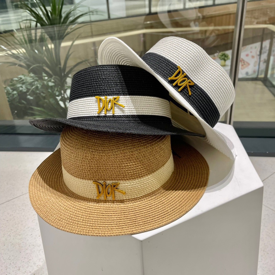 TOP Christian Dior Hat - 3 Colors