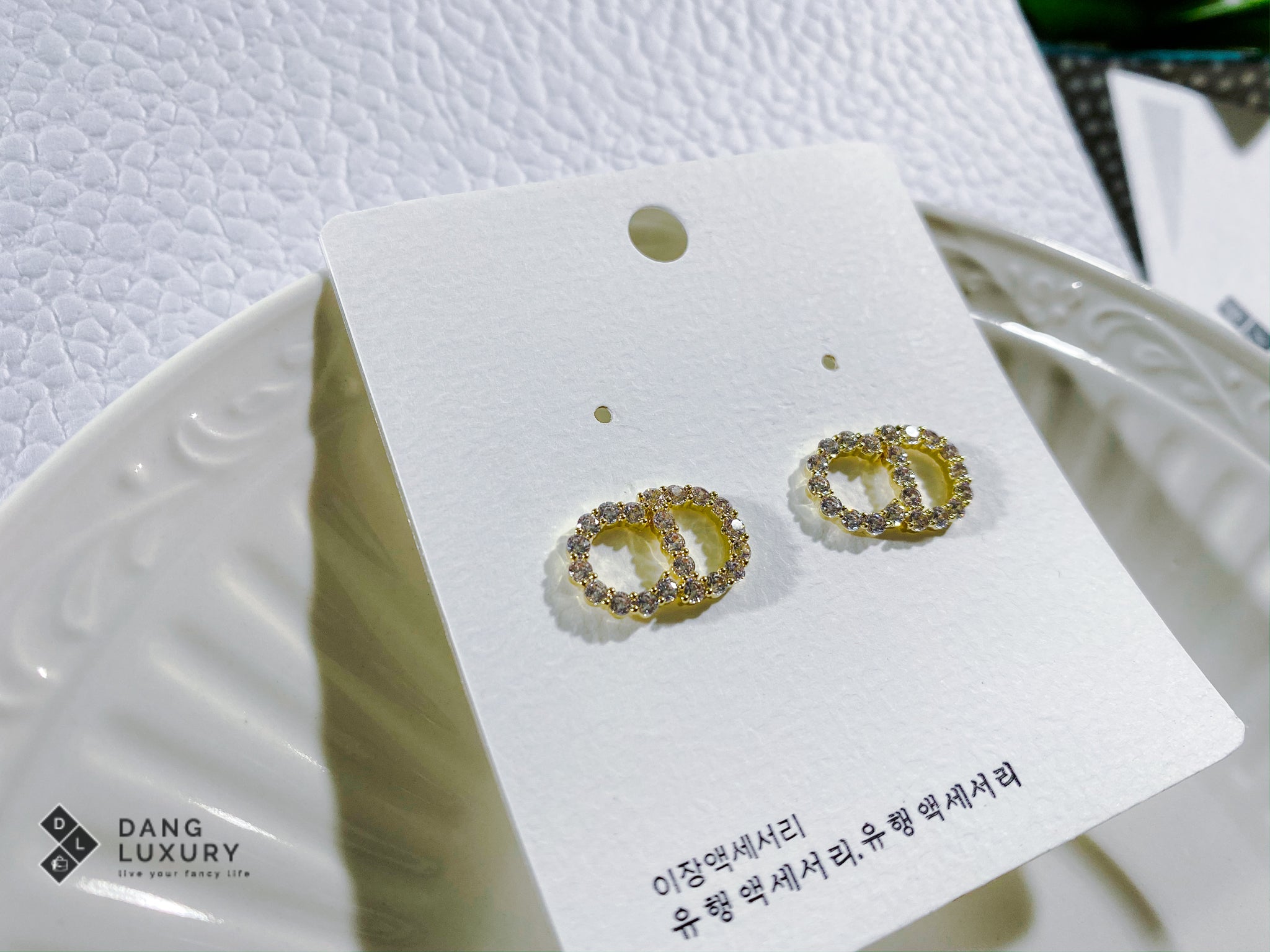 TOP Christian Dior Clair D Lune Earrings
