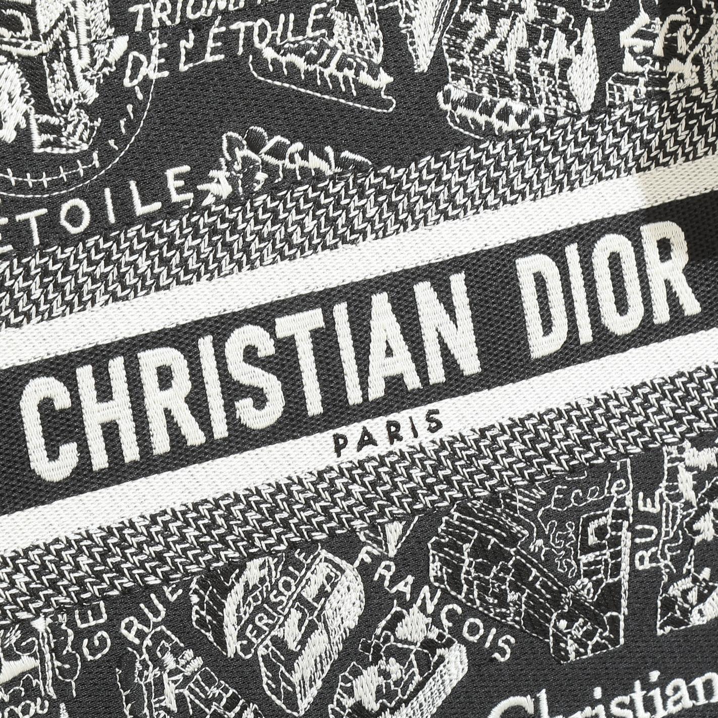 TOP Christian Dior Book Tote Bag Paris Map 26.5x21x14cm/36x27x16.2cm - Black