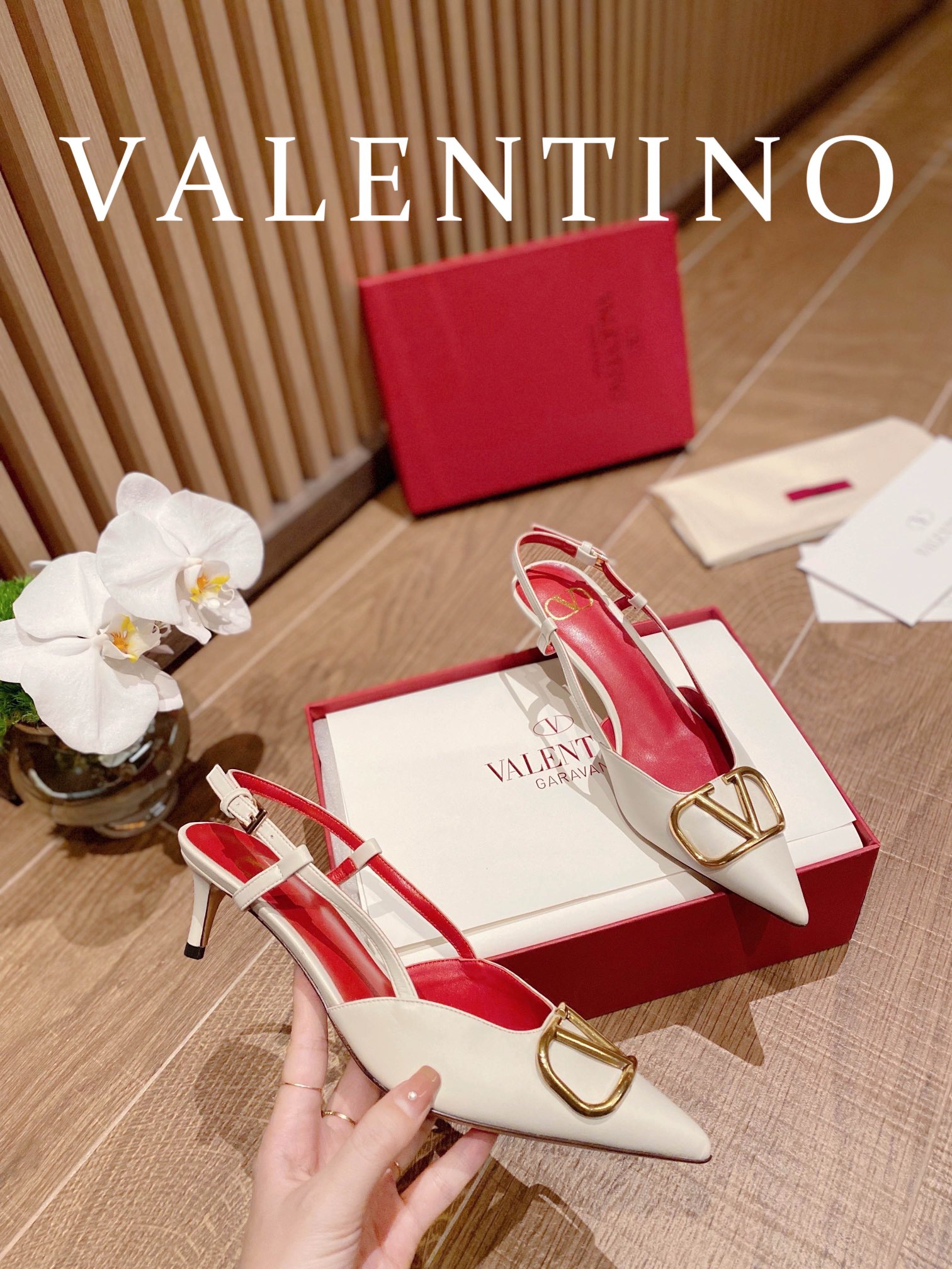 TOP VALENTINO Middle/High-heeled Pumps with Gold Logo - 4 Color