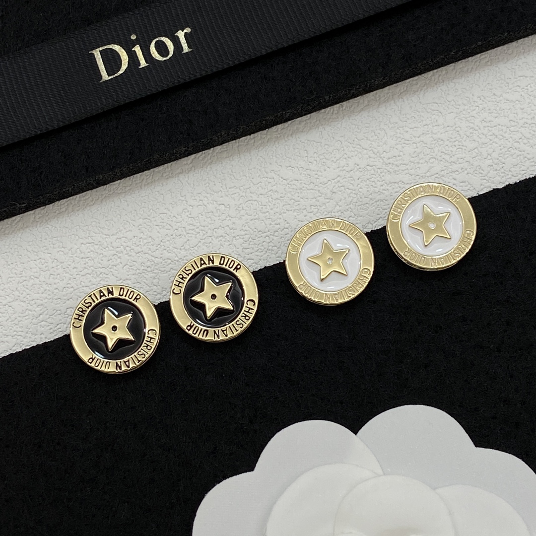 TOP Christian Dior Earrings - 2 Colors