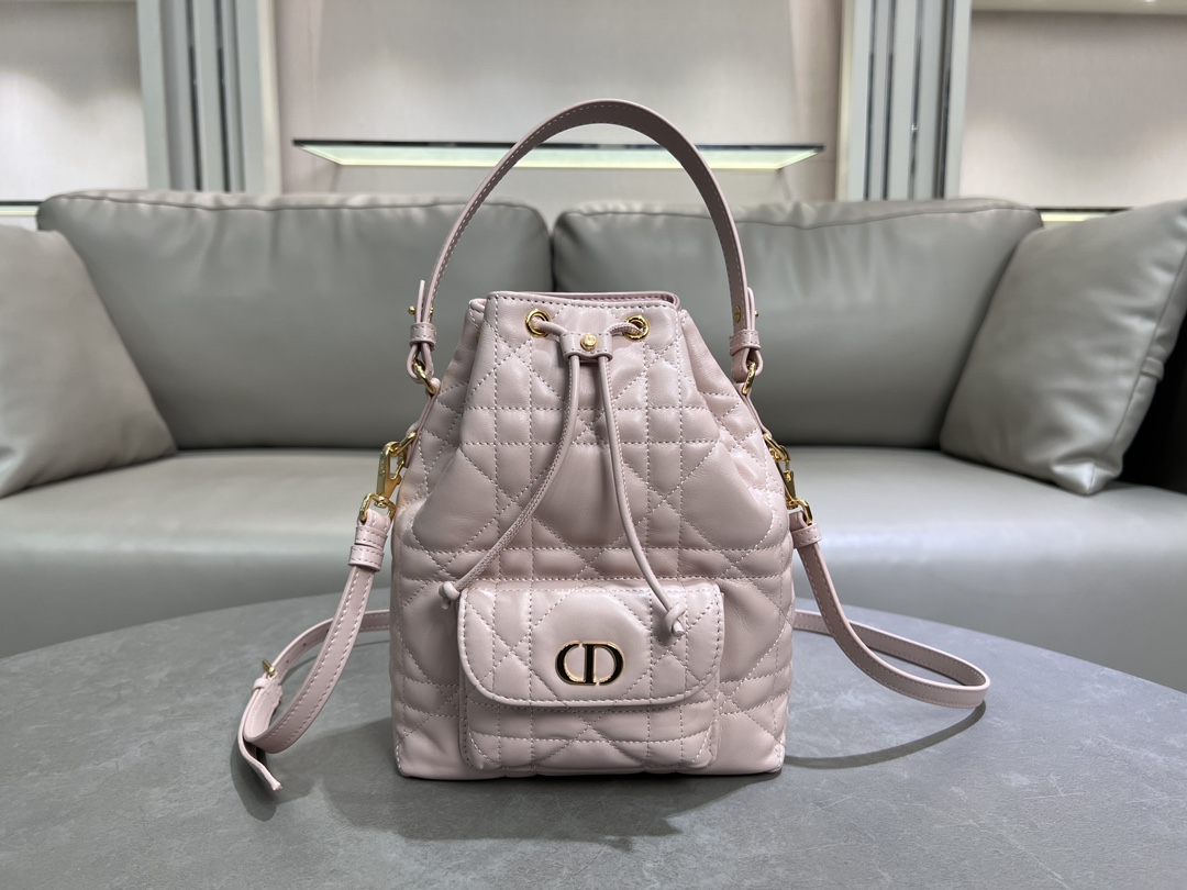 TOP Christian Dior Caro Backpack 20cm*24cm*9cm -Pink