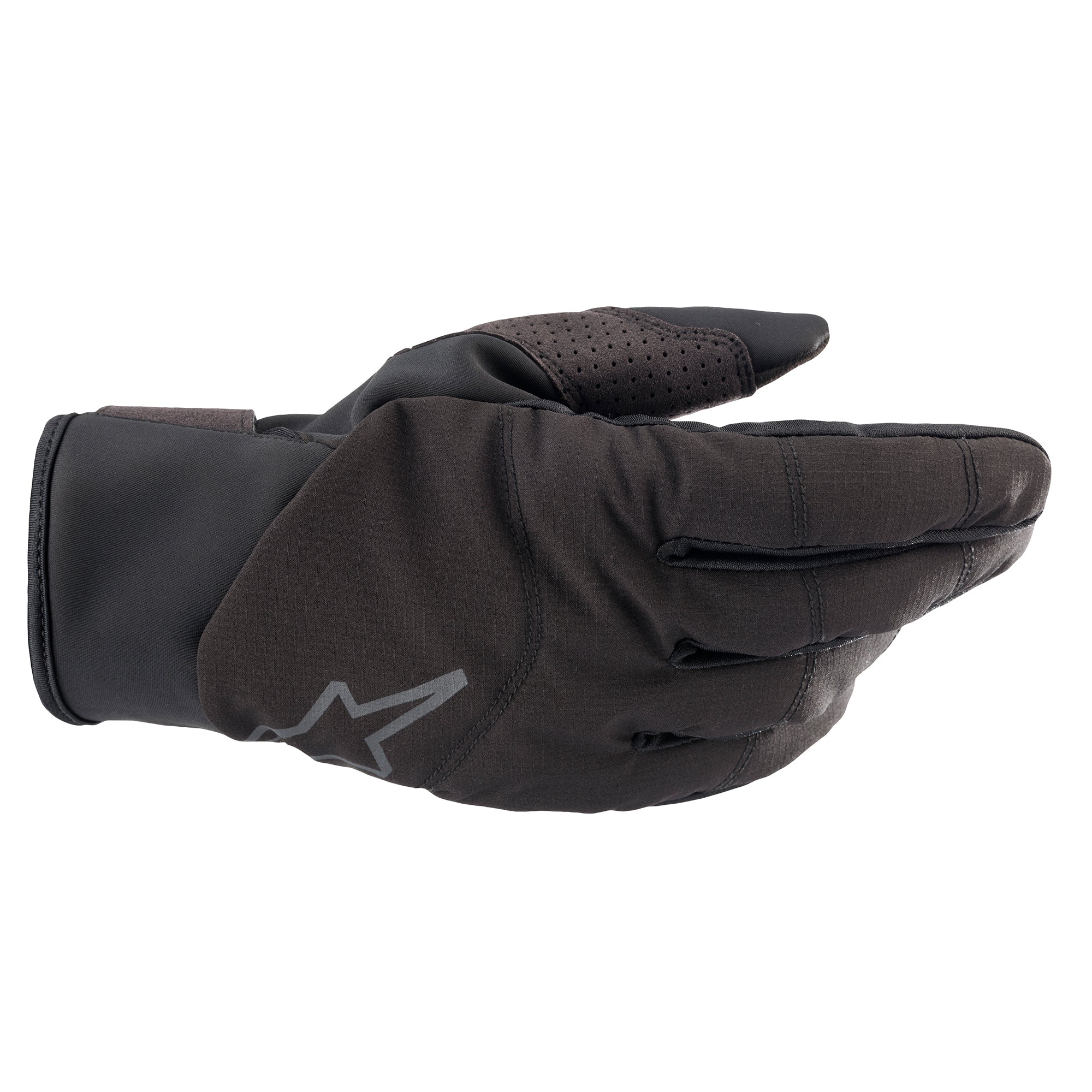 Denali 2 Gloves