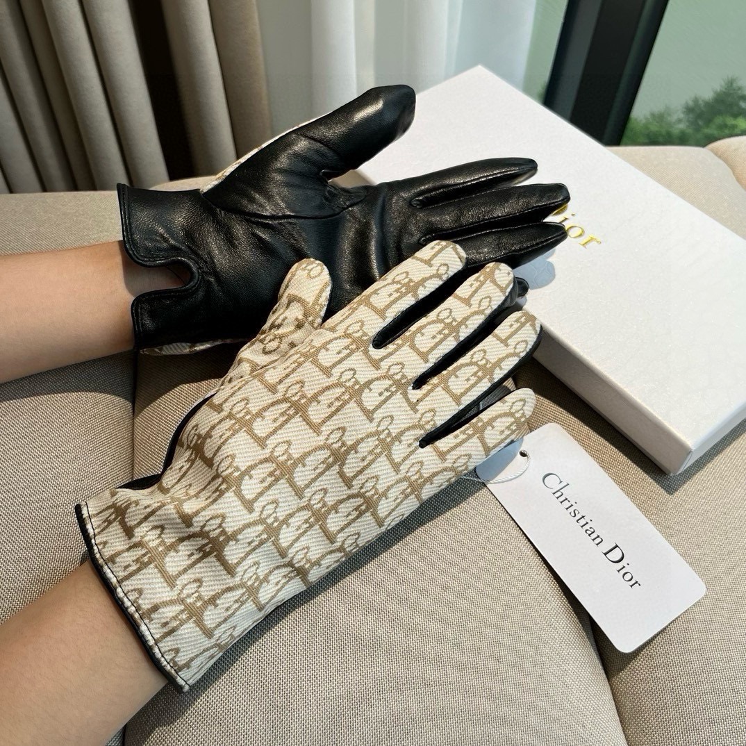 Top Christian Dior Sheepskin Gloves - 2 Colors