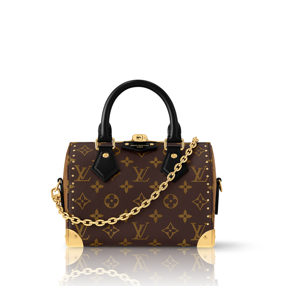 Louis Vuitton Speedy Trunk 20 Bag (10A Mirror Version)