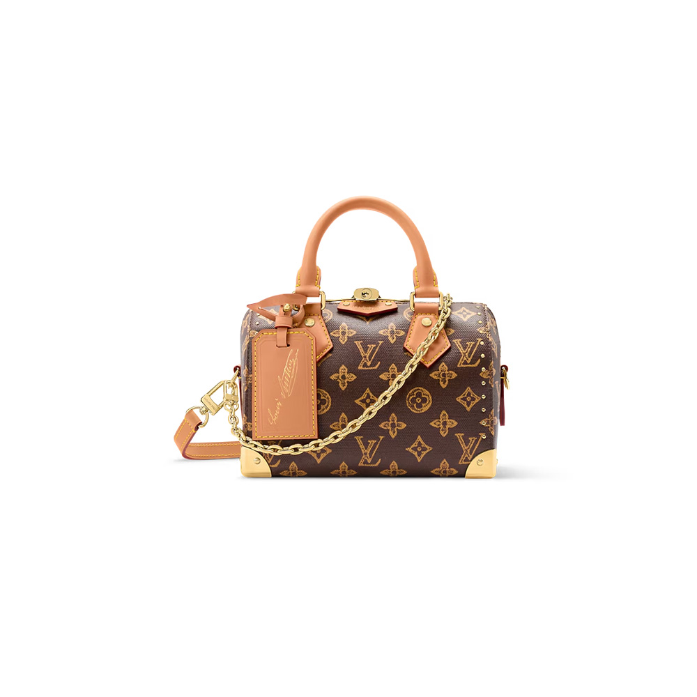 Louis Vuitton Speedy Trunk 20 (7A regular version)