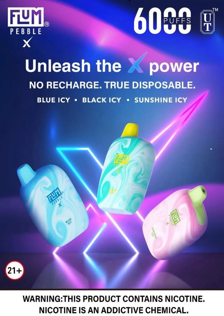 Flum Pebble Disposable Vape (5%, 6000 Puffs)