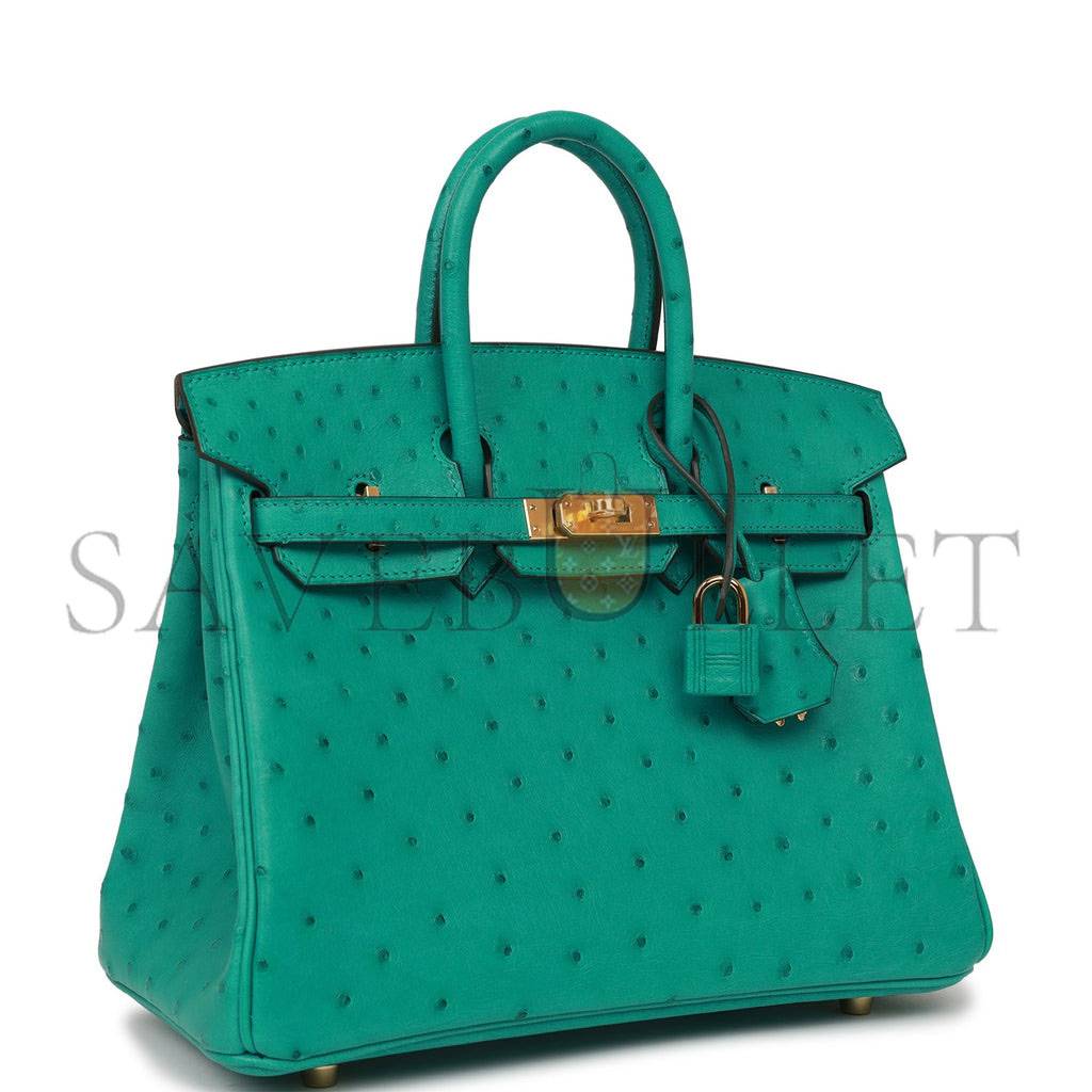 HERMES MASTER BIRKIN 25 GOLD HARDWARE (25*20*13cm)