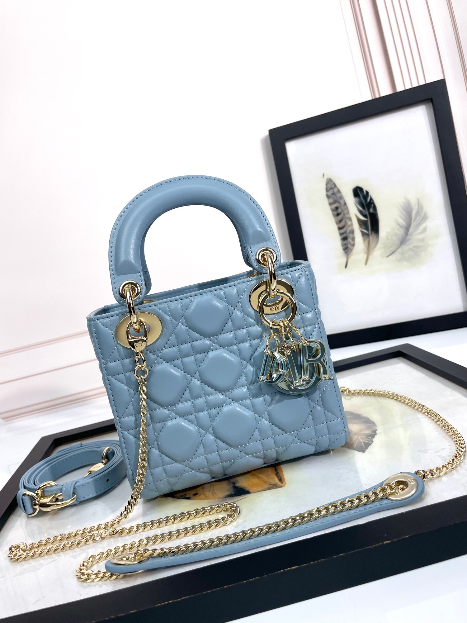 TOP Christian Dior Lady Dior Bag 2 Sizes - 3 Colors