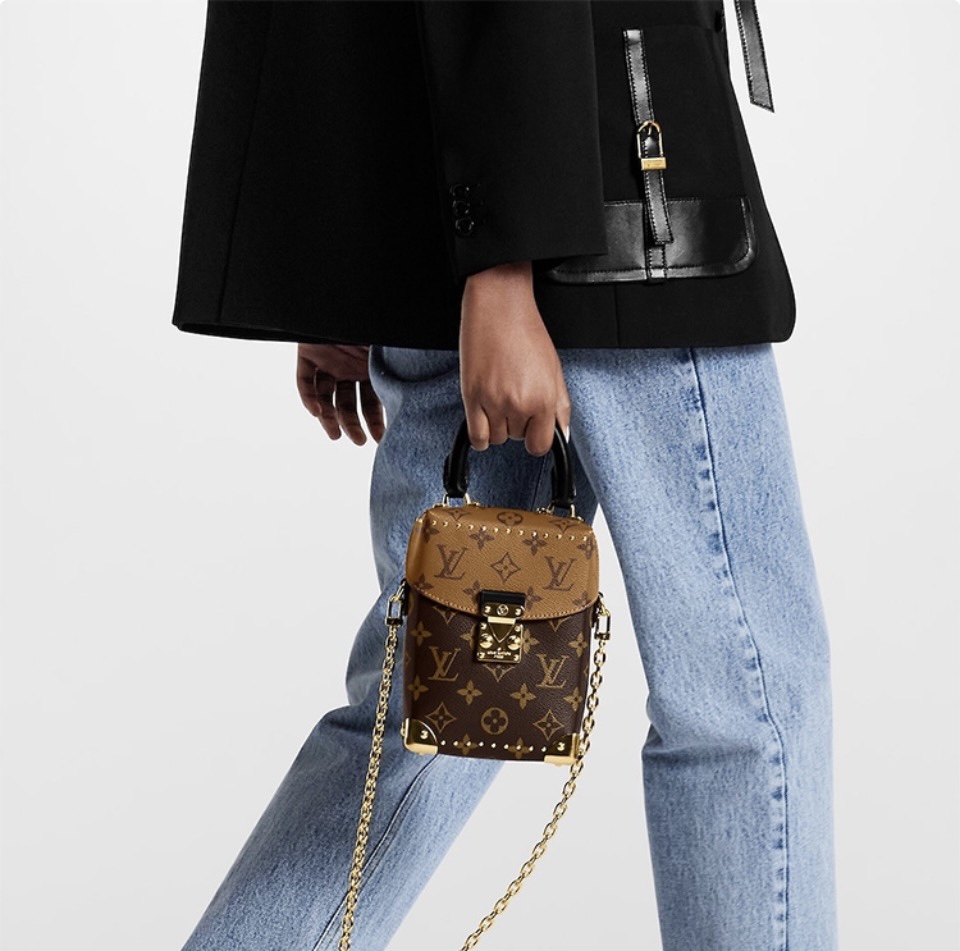 Louis Vuitton LV Camera Bag (10A Mirror Version)