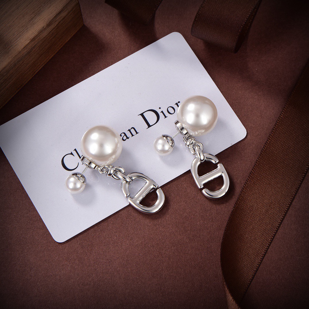 TOP Christian Dior CD silver earrings