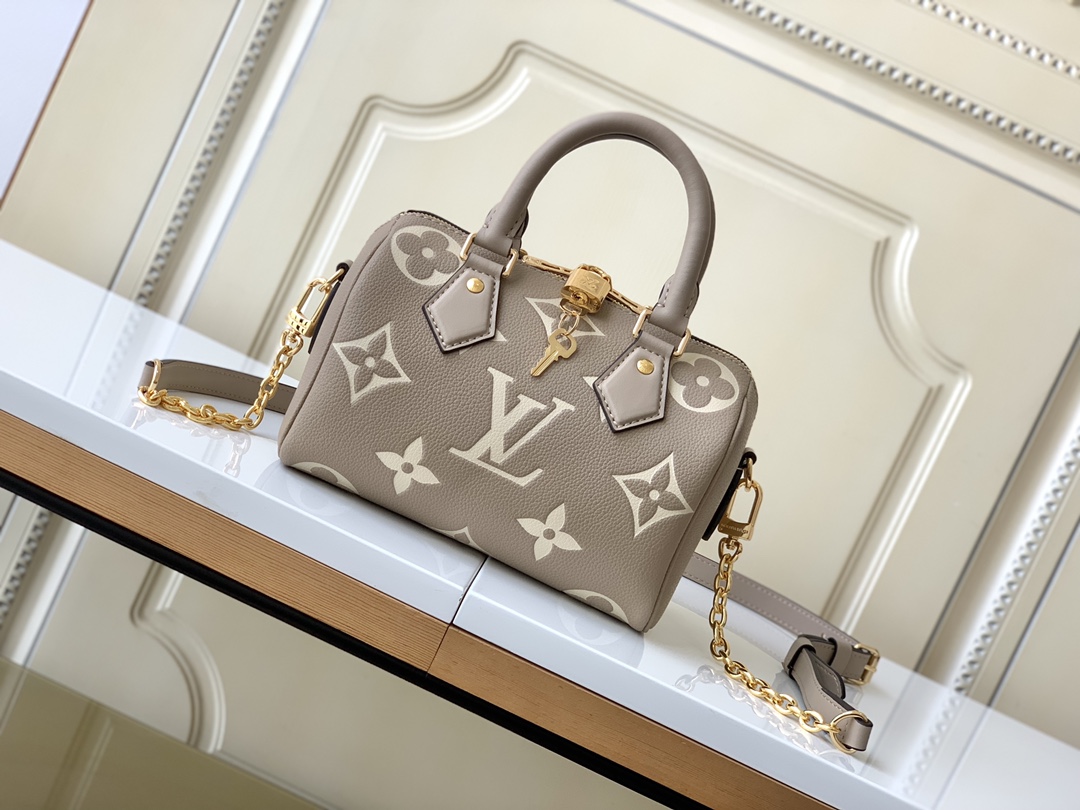 TOP Louis Vuitton LV Speedy Bandouliere 20 Bag 20.5x13.5x12.0 cm  - Grey