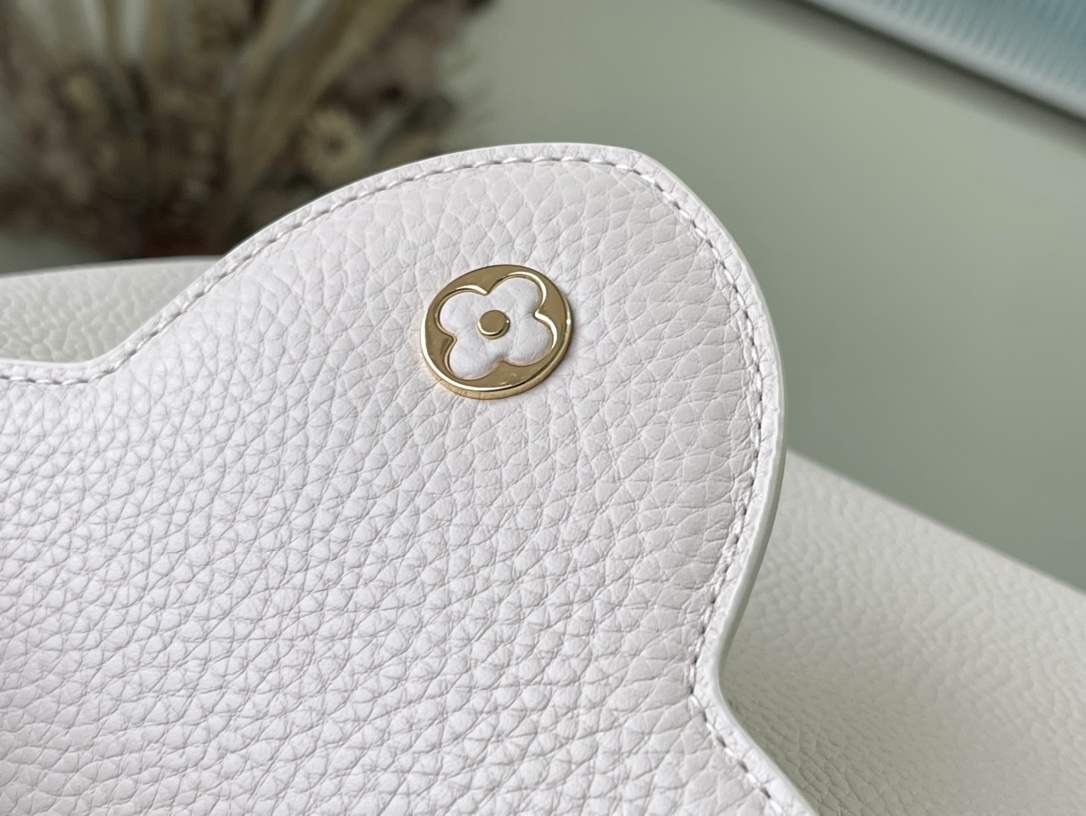 Louis Vuitton Z Capucines MM M21127