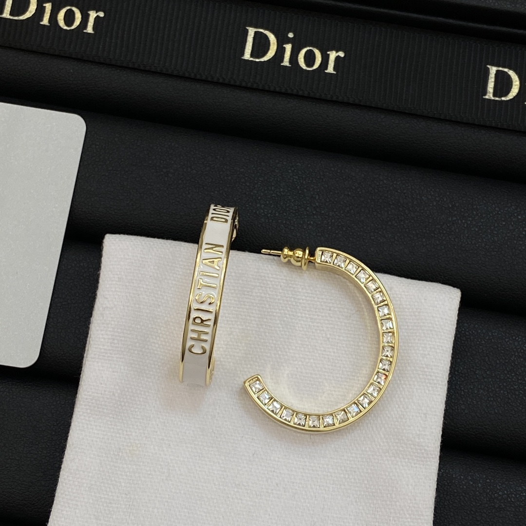 TOP Christian Dior Earring - 2 Colors
