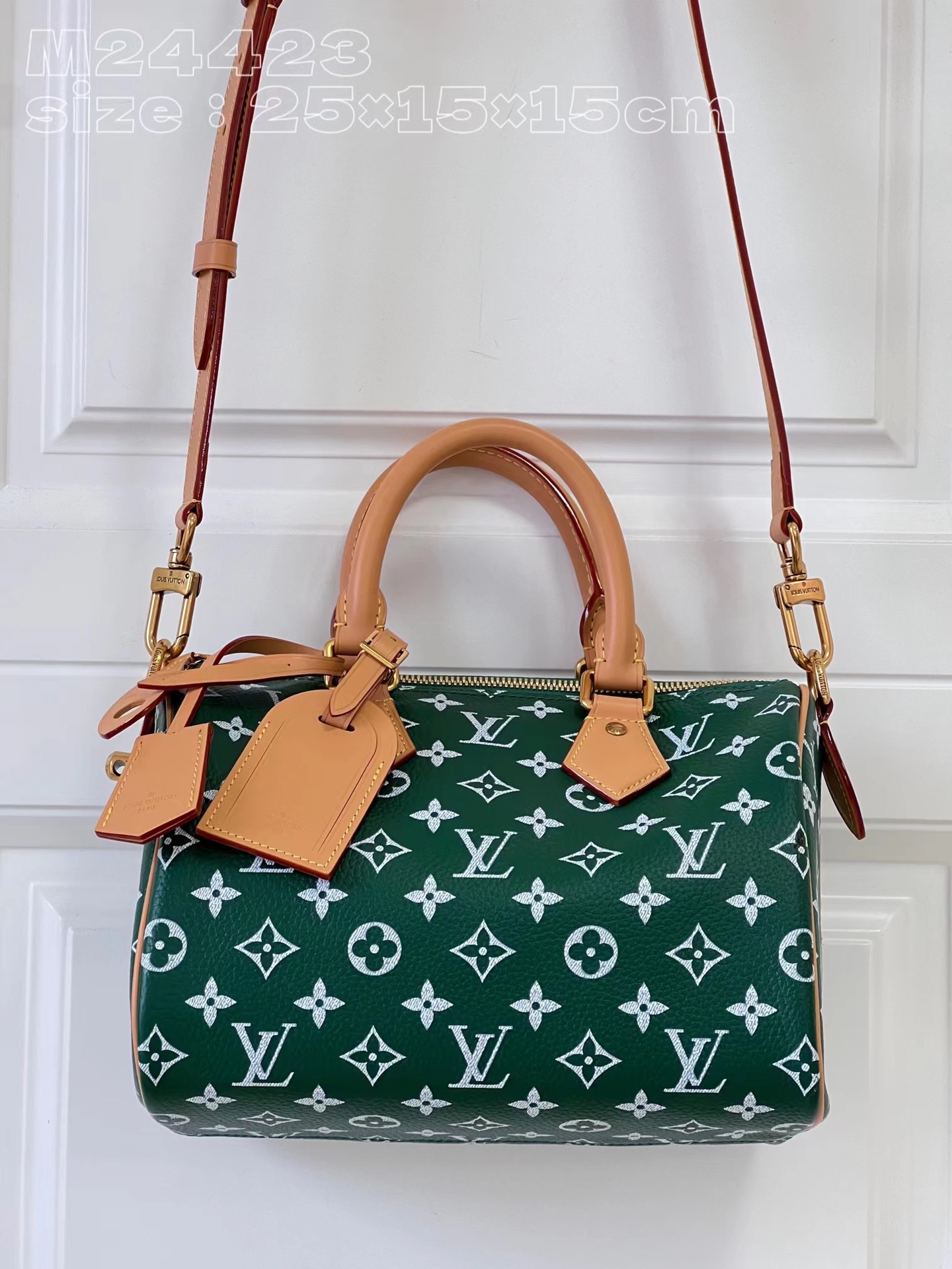 TOP Louis Vuitton LV Calfskin Speedy 25 Bag 25x15x15cm - 3 Colors