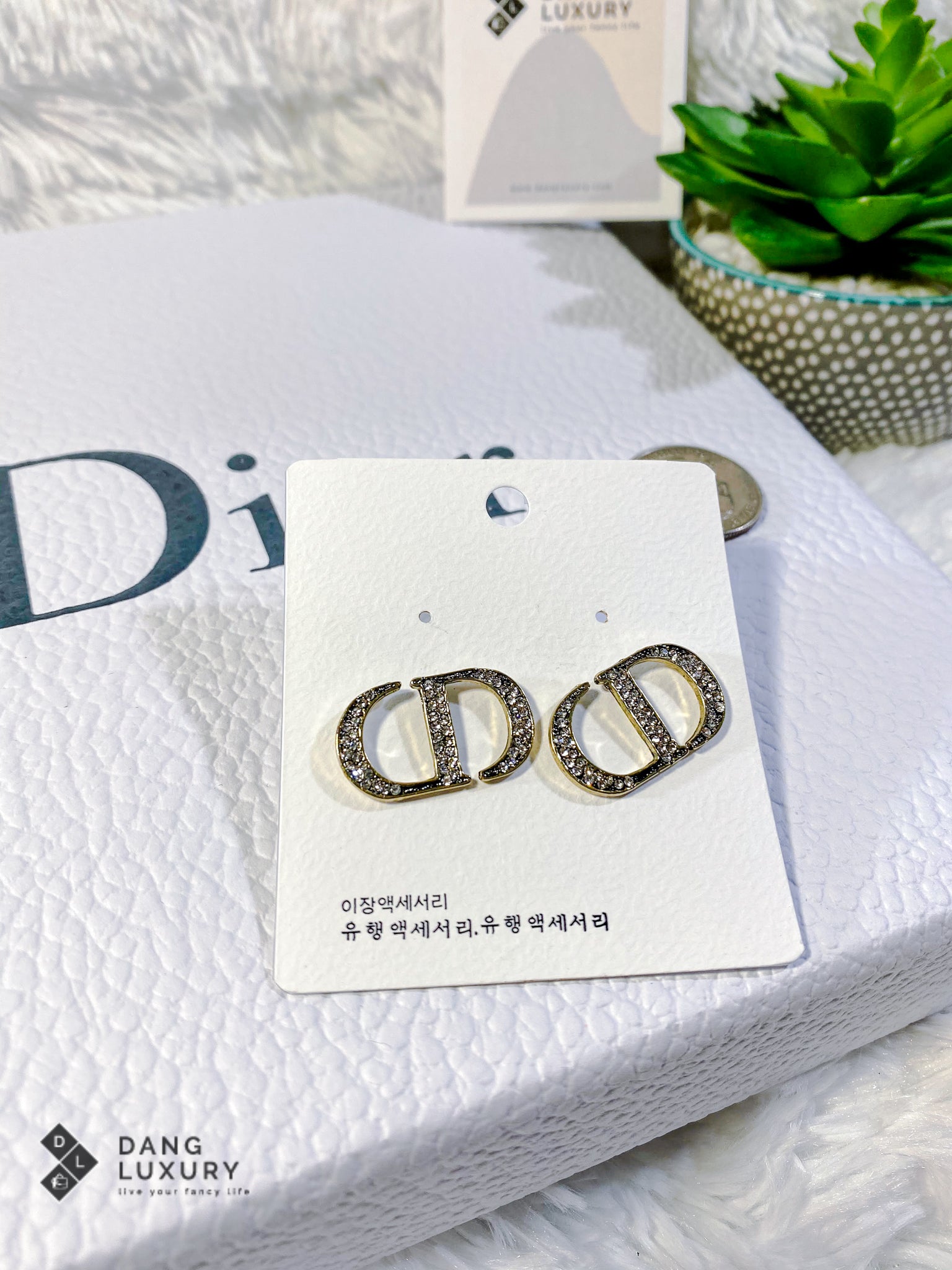 TOP Christian Dior Logo Earrings