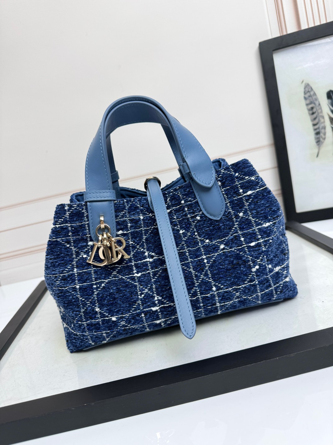 TOP Christian Dior Toujours Handbag 23x14x12cm/28.5x21.5x17cm - 3 Colour