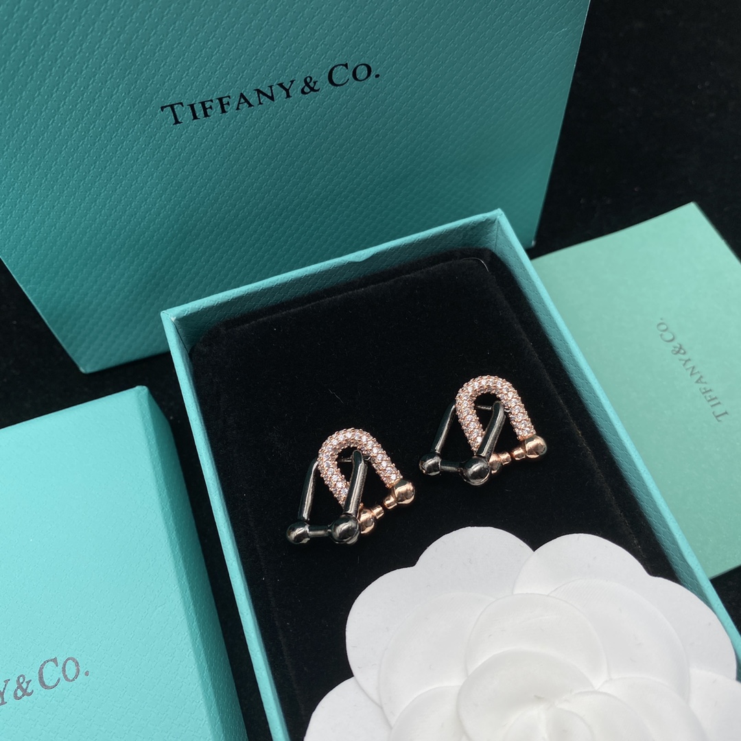TOP Tiffany & Co. Lock  Earrings